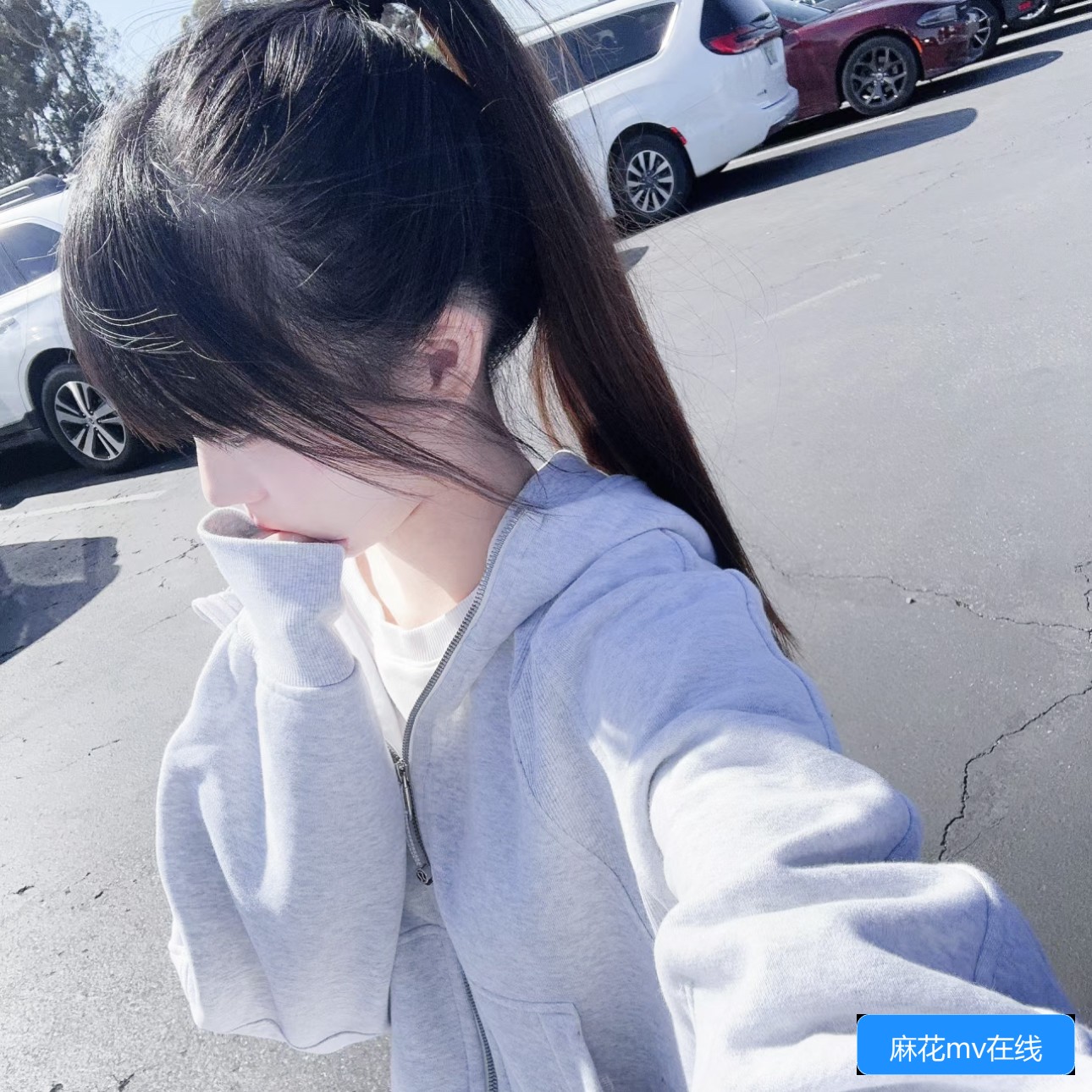 麻花MV在线观看入口有哪些？网页版在线看的推荐与使用指南